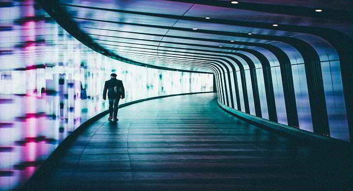 Hibridacion Fisico Digital