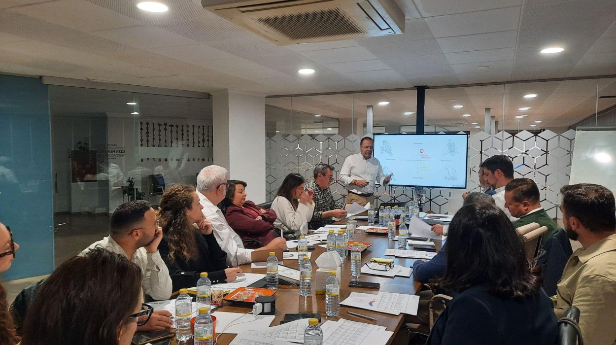 GlobalConnectTravel02