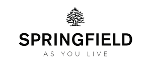 springfield springfield